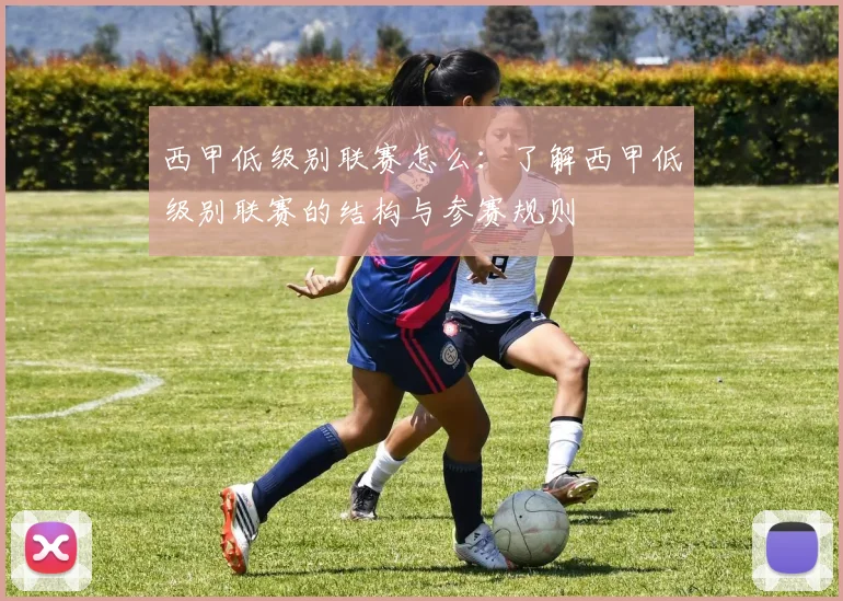 西甲低级别联赛怎么:了解西甲低级别联赛的结构与参赛规则