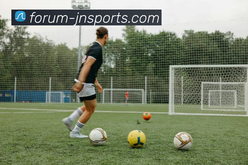 江南体育平台生态图